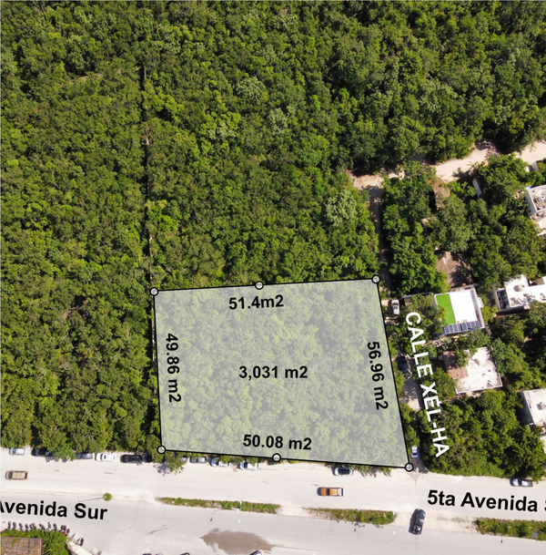 Tulum 5th Ave. 3,031 Sqm Land for sale