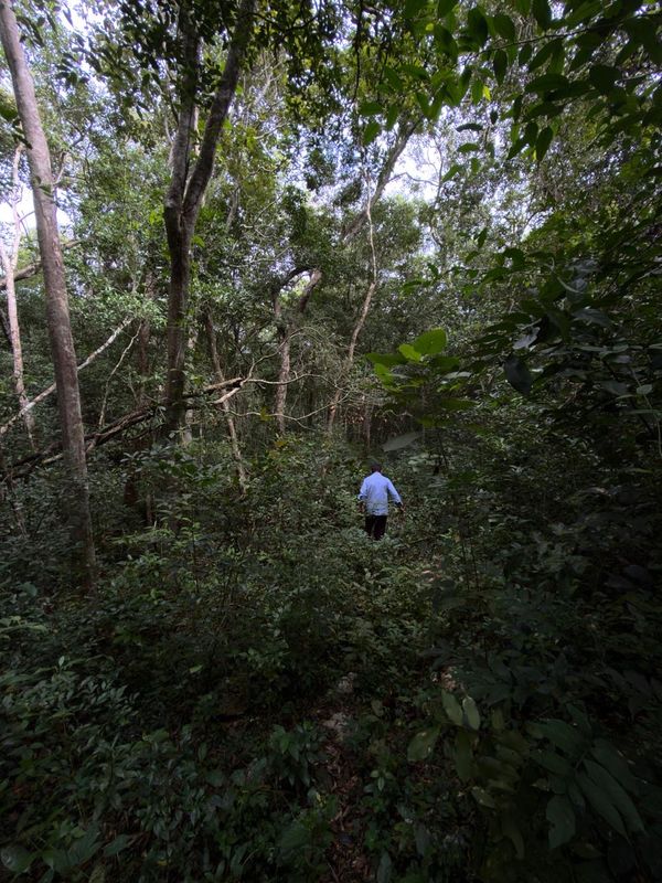 Francisco Uh May - 1,870.113 m2